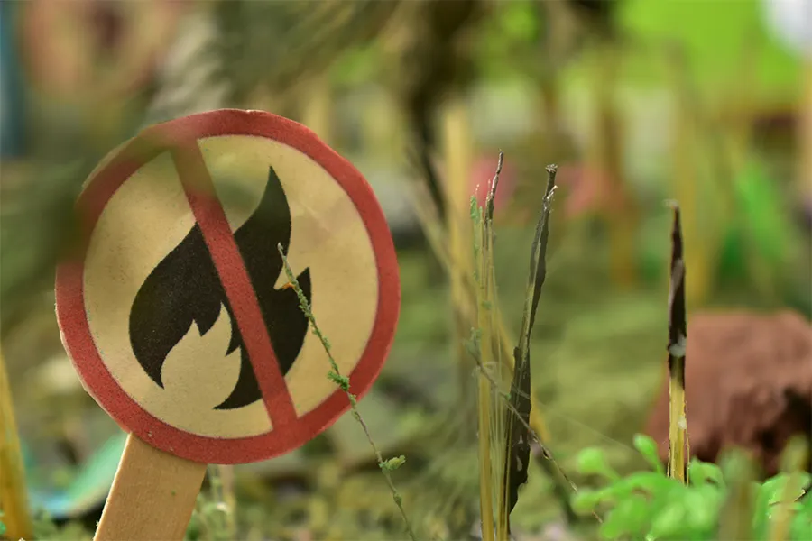 Nueva Resolución 23/07/2025 limitaciones disminuir riesgo incendios C-LM